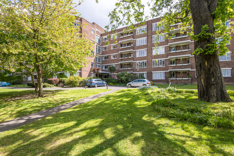 Champion Hill, Camberwell