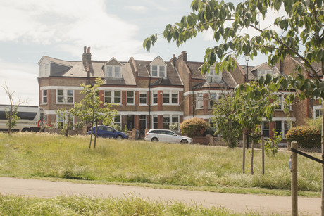 Montague Avenue, Brockley